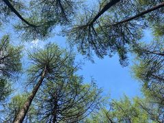 -硗碛藏寨·神木垒景区