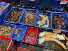 -吴记富苑(朝阳店)