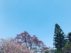 -东山湖公园