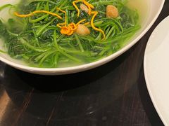-湛江民大喜来登酒店-采悦轩中餐厅