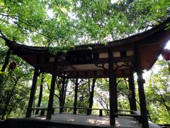 景点-杭州黄龙洞