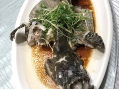 -强记海鲜·大排档(蛇口新街店)