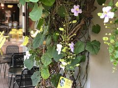 -莓园冰淇淋店