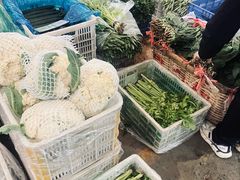 -重振华中蔬菜批发市场(重庆中路店)