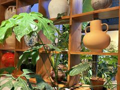 -自由生长植物工作室(深港花卉中心店)