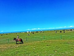 -青海湖国家重点风景名胜区
