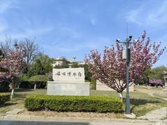 -旅顺博物馆