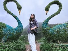 -广州市石门国家森林公园