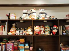 零售区-逗柴咖啡屋·狗咖猫咖宠物桌游