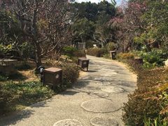 -滨千鸟之汤 海舟
