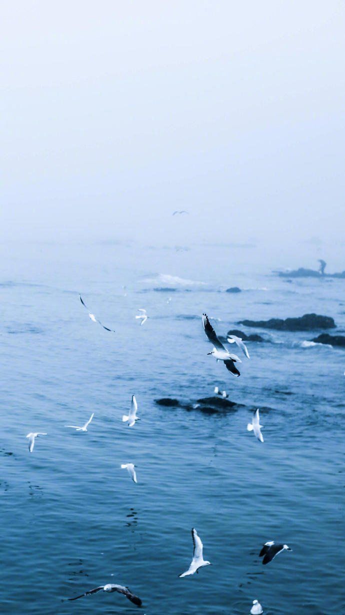 ["一叶浮萍归大海,人生何处不相逢.