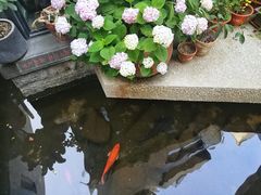 -泉乐坊步行街(烟酒特产平价超市店)