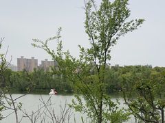 -昆山城市生态森林公园