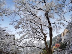 -九华山风景区