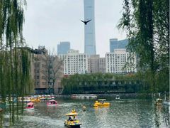-团结湖公园