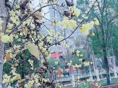 -滨湖塘西河公园