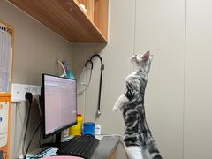 -创凡宠物医院·骨专科  猫科中心(西乡分院)