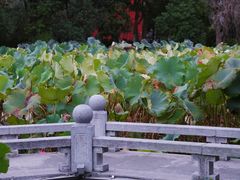 -丝绸小镇荻港古村