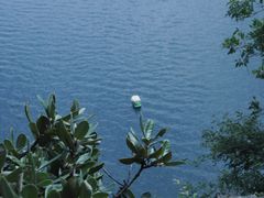 -抚仙湖禄充风景区