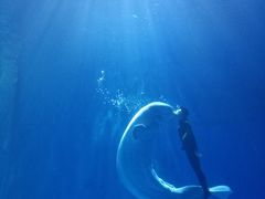 -多彩贵州城极地海洋世界