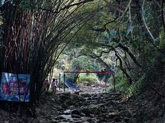 -南海湾森林生态园