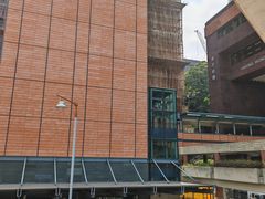 -香港大学