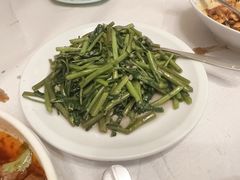 -天府乐园