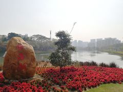 -怡海公园(桂城街道)