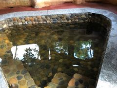 -天门沟九州驿站树上汤泉