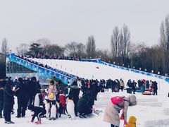 -紫竹院公园冰场