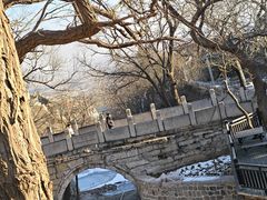 -北京凤凰岭