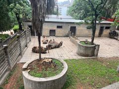 -昆明动物园