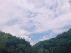-宁波浙东大竹海景区