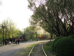 -永定河休闲森林公园