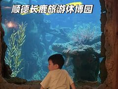 -长鹿旅游休博园