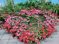 -姥家大锅台水库渔家