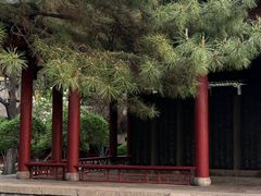 -碑林公园