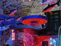 -烟台海昌鲸鲨海洋公园