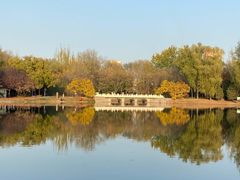 -森林公园(尖草坪区)