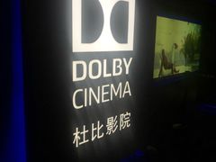 -万达影城(闵行颛桥万达广场杜比影院店)