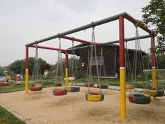 -中国扬子鳄村