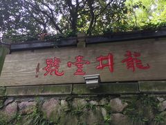 -龙井壹号·茶缘山景宴(龙井村店)