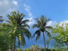 -三亚湾海居铂尔曼度假酒店