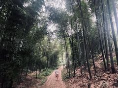 -蜀南竹海景区