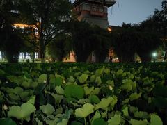 -四川大学(华西校区)