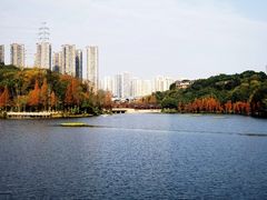 -重庆彩云湖湿地公园