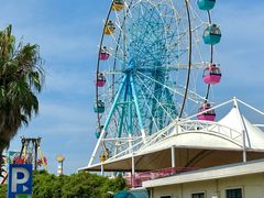 -巨鹏飞梦幻海岸