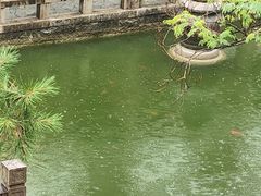 -苏州吴宫泛太平洋酒店