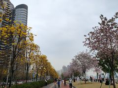 -洲头咀公园