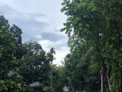 -西双版纳傣族园